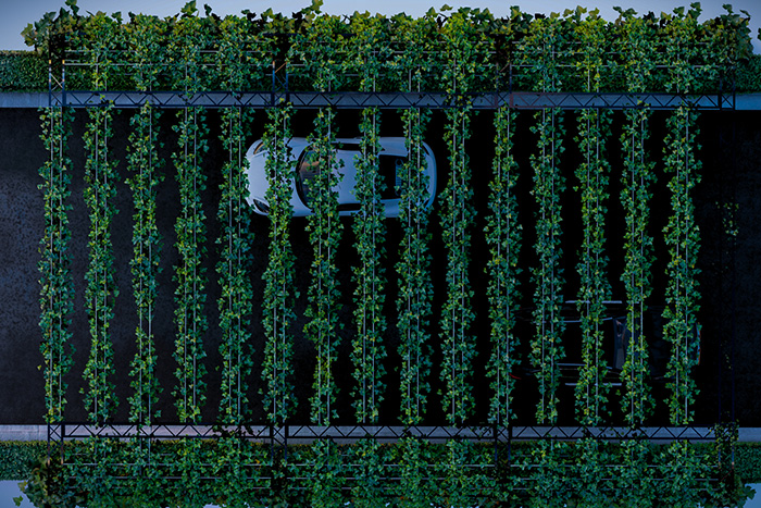 A digital representation of Green Trellis Shade Structure wireframe